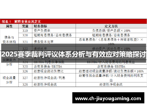 2025赛季裁判评议体系分析与有效应对策略探讨