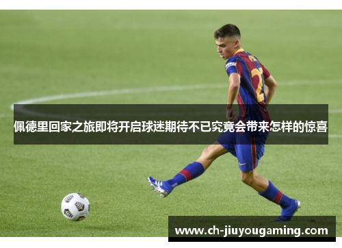 佩德里回家之旅即将开启球迷期待不已究竟会带来怎样的惊喜