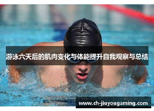 游泳六天后的肌肉变化与体能提升自我观察与总结